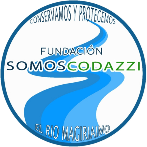 logo fundacion somos codazzi